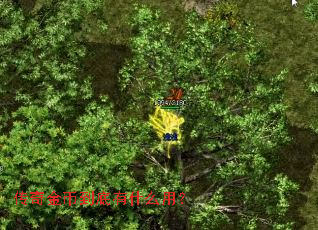 �����ҵ�����ʲô�ã�