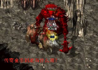 �����ҵ�����ʲô�ã�