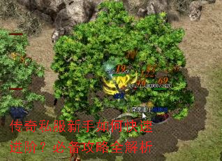 ����˽��������ο��ٽ��ף��ر�����ȫ����