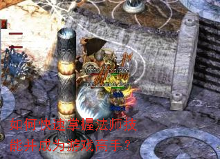 ��ο������շ�ʦ���ܲ���Ϊ��Ϸ���֣�