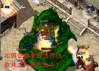 ��ο������շ�ʦ���ܲ���Ϊ��Ϸ���֣�