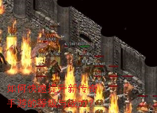 ��ο��������´������εĵȼ���ս����