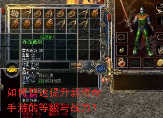 ��ο��������´������εĵȼ���ս����