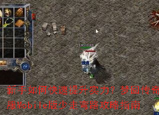 ������ο�������ʵ�����λش���˽��Mobile��������·����ָ��