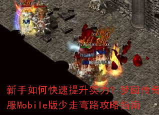 ������ο�������ʵ�����λش���˽��Mobile��������·����ָ��