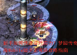 ������ο�������ʵ�����λش���˽��Mobile��������·����ָ��