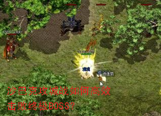 ɳ�Ϳ˹���ս��θ�Ч�����ռ�BOSS��