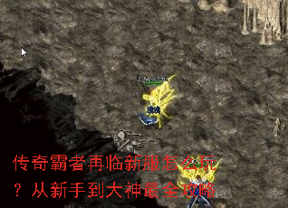 ������������·���ô�棿�����ֵ�������ȫ����