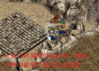 ���Ϊ��ƫ��������ϣ����ش��������ܻ�ӭ��ְҵ����