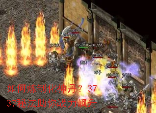 ������ƻ��񵤣�3737�ط�����ս�����