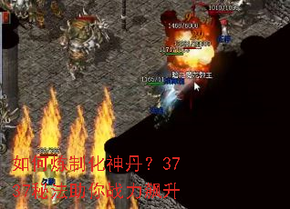 ������ƻ��񵤣�3737�ط�����ս�����