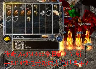 ����˽��SF666�����¿���������ο���������Ϊ�������֣�