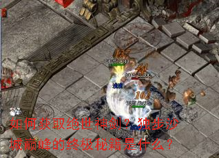 ��λ�ȡ�����񽣣�����ɳ���۷���ռ��ؼ���ʲô��