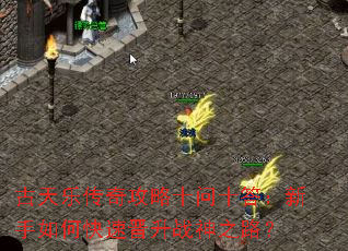 �����ִ��湥��ʮ��ʮ��������ο��ٽ���ս��֮·��