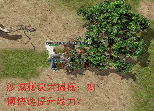 沙城秘诀大揭秘:如何快速提升战力? 沙城秘诀大揭秘:如何快速提升战力?