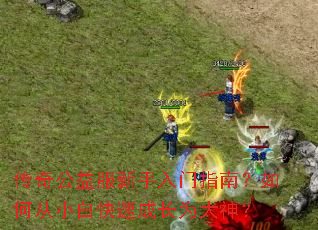 ���湫�����������ָ�ϣ���δ�С�׿��ٳɳ�Ϊ����