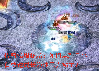 ����˽���ؼ�����δ�����С�׿��ٳɳ�Ϊɳ�Ϳ˰�����