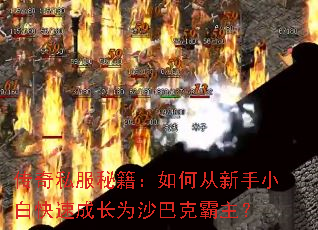 ����˽���ؼ�����δ�����С�׿��ٳɳ�Ϊɳ�Ϳ˰�����