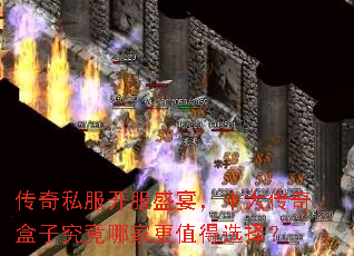 ����˽������ʢ�磬ʮ������Ӿ����ļҸ�ֵ��ѡ��