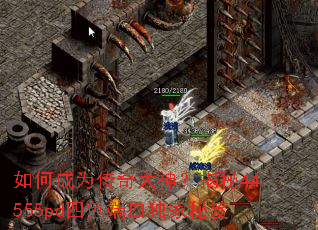 ��γ�Ϊ������񣿽���44555pd��ɫ�˿ڶ�������