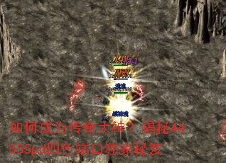 ��γ�Ϊ������񣿽���44555pd��ɫ�˿ڶ�������