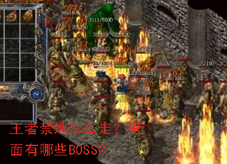 ���߽�����ô�ߣ���������ЩBOSS��