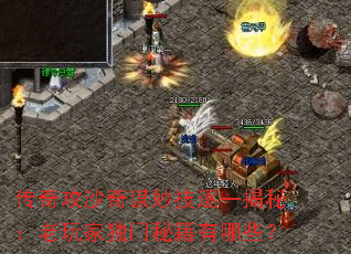 ���湥ɳ��ı���һ���أ�����Ҷ����ؼ�����Щ��