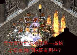 ���湥ɳ��ı���һ���أ�����Ҷ����ؼ�����Щ��