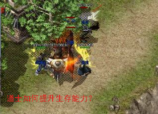 道士如何提升生存能力? 道士如何提升生存能力?
