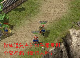 你知道复古传奇私服里哪个交易漏洞最坑人吗? 你知道复古传奇私服里哪个交易漏洞最坑人吗?