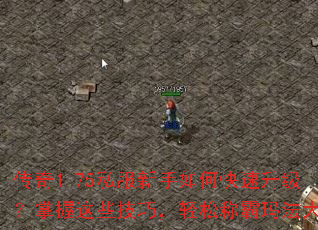 传奇1.75私服新手如何快速升级?掌握这些技巧,轻松称霸玛法大陆 传奇1.75私服新手如何快速升级?掌握这些技巧,轻松称霸玛法大陆
