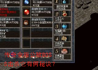 ����ȫ������BOSS��ɱ���к��ؾ���