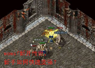 wowsf新开传世,新手如何快速变强? wowsf新开传世,新手如何快速变强?