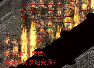 wowsf新开传世,新手如何快速变强? wowsf新开传世,新手如何快速变强?