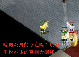 暗殿鸡真的存在吗?玩家争论不休的真相大揭秘 暗殿鸡真的存在吗?玩家争论不休的真相大揭秘
