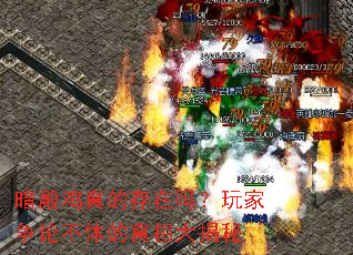 暗殿鸡真的存在吗?玩家争论不休的真相大揭秘 暗殿鸡真的存在吗?玩家争论不休的真相大揭秘