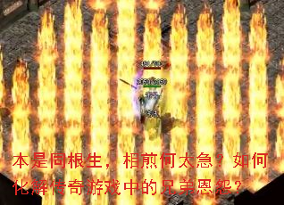 ����ͬ����������̫������λ��⴫����Ϸ�е��ֵܶ�Թ��