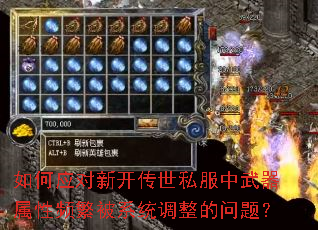 ���Ӧ���¿�����˽������������Ƶ����ϵͳ���������⣿