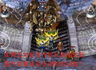 ���Ӧ���¿�����˽������������Ƶ����ϵͳ���������⣿