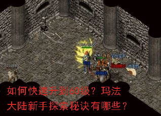 如何快速升到60级?玛法大陆新手探索秘诀有哪些? 如何快速升到60级?玛法大陆新手探索秘诀有哪些?