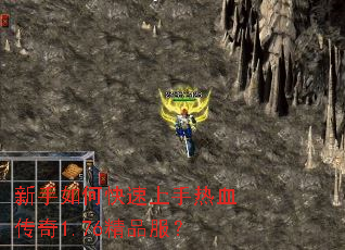新手如何快速上手热血传奇1.76精品服? 新手如何快速上手热血传奇1.76精品服?