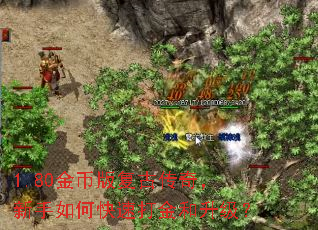 1.80金币版复古传奇,新手如何快速打金和升级? 1.80金币版复古传奇,新手如何快速打金和升级?