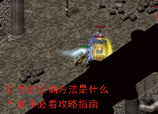 打怪的正确方法是什么?新手必看攻略指南 打怪的正确方法是什么?新手必看攻略指南