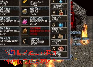 传奇世界道士毒药如何获取与购买攻略? 传奇世界道士毒药如何获取与购买攻略?