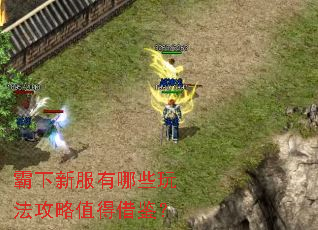 霸下新服有哪些玩法攻略值得借鉴? 霸下新服有哪些玩法攻略值得借鉴?