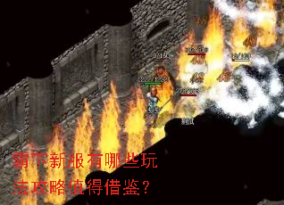 霸下新服有哪些玩法攻略值得借鉴? 霸下新服有哪些玩法攻略值得借鉴?