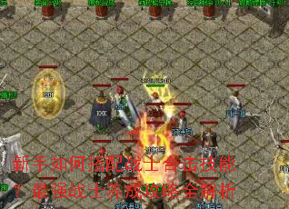 新手如何搭配战士合击技能?最强战士养成攻略全解析 新手如何搭配战士合击技能?最强战士养成攻略全解析