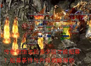 传奇钳虫达到多少级才能招募?招募条件与升级攻略解析 传奇钳虫达到多少级才能招募?招募条件与升级攻略解析