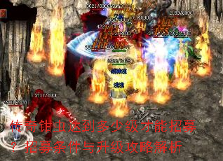 传奇钳虫达到多少级才能招募?招募条件与升级攻略解析 传奇钳虫达到多少级才能招募?招募条件与升级攻略解析