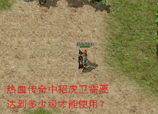 热血传奇中招虎卫需要达到多少级才能使用? 热血传奇中招虎卫需要达到多少级才能使用?
